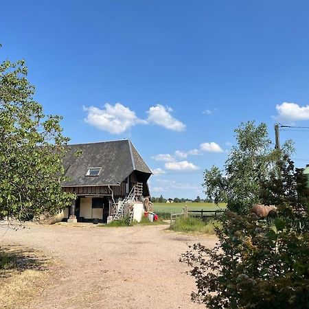 Logis Du Coudray Apartment Boissey-le-Chatel Luaran gambar